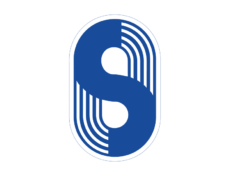 BSG Stahl Brandenburg Logo